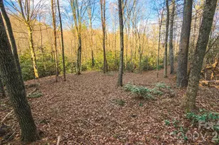 Tbd All Healing Springs Rd, Taylorsville, NC 28681 - Photo 1