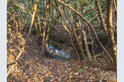 Tbd All Healing Springs Road #2, Taylorsville, NC 28681 - Photo 13