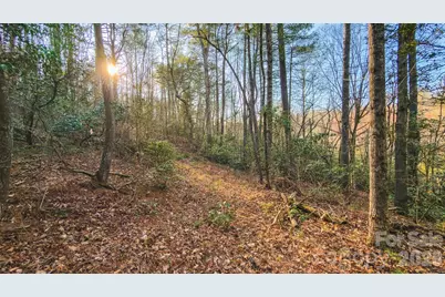 Tbd All Healing Springs Road #2, Taylorsville, NC 28681 - Photo 15