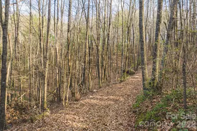 Tbd All Healing Springs Road #2, Taylorsville, NC 28681 - Photo 5