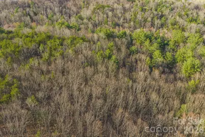 Tbd All Healing Springs Road #2, Taylorsville, NC 28681 - Photo 9