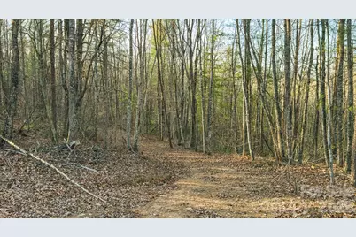 Tbd All Healing Springs Road #2, Taylorsville, NC 28681 - Photo 23