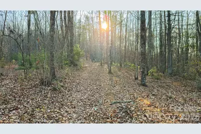 Tbd All Healing Springs Road #2, Taylorsville, NC 28681 - Photo 25