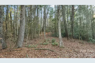 Tbd All Healing Springs Road #2, Taylorsville, NC 28681 - Photo 19