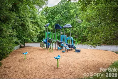 189 Mills Lane, Fort Mill, SC 29708 - Photo 43
