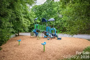 189 Mills Ln, Fort Mill, SC 29708 - Photo 45