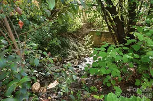 146 Mattoon St, Charlotte, NC 28216 - Photo 11