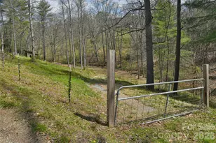 326 Panther Branch Rd, Alexander, NC 28701 - Photo 27