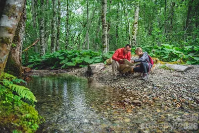 10 Eagle Drive, Hendersonville, NC 28792 - Photo 27