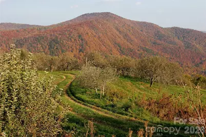 10 Eagle Drive, Hendersonville, NC 28792 - Photo 25
