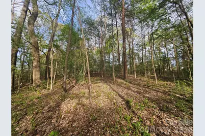 1110 Clark Hill Drive, Belmont, NC 28012 - Photo 11