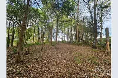 1110 Clark Hill Drive, Belmont, NC 28012 - Photo 7