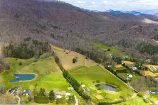 356 Curtis Creek Rd, Candler, NC 28715 - Photo 41