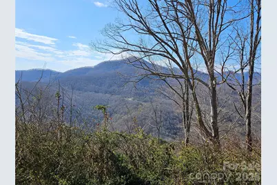 989 High Rock View Drive, Canton, NC 28716 - Photo 3