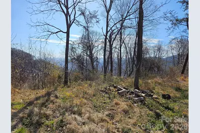 989 High Rock View Drive, Canton, NC 28716 - Photo 5