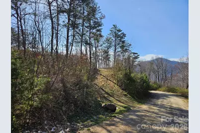 989 High Rock View Drive, Canton, NC 28716 - Photo 27