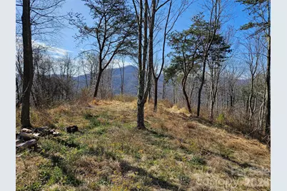 989 High Rock View Drive, Canton, NC 28716 - Photo 9