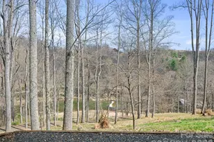 12 Riverview Dr, Bakersville, NC 28705 - Photo 35