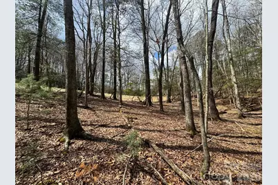 Tbd Ward Circle Drive #33, Sparta, NC 28675 - Photo 13