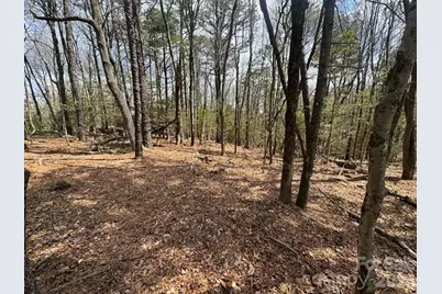 Tbd Ward Circle Drive #33, Sparta, NC 28675 - Photo 7