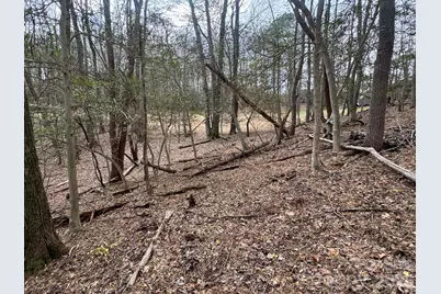 Tbd Ward Circle Drive #33, Sparta, NC 28675 - Photo 17