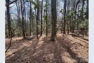 Tbd Ward Circle Drive #33, Sparta, NC 28675 - Photo 9