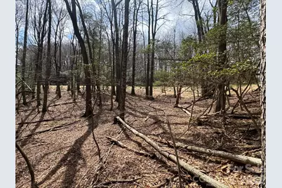 Tbd Ward Circle Drive #33, Sparta, NC 28675 - Photo 15