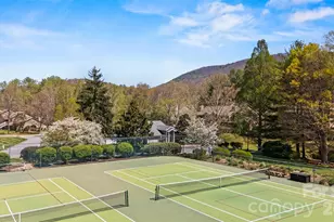 6 Willow Tree Run, Asheville, NC 28803 - Photo 33