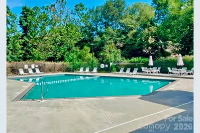 6 Willow Tree Run, Asheville, NC 28803 - Photo 25