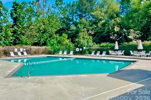 6 Willow Tree Run, Asheville, NC 28803 - Photo 25