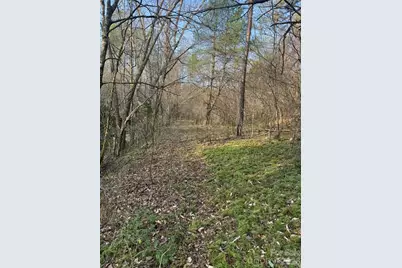 Tbd Billings Hill Church Road, Traphill, NC 28685 - Photo 11