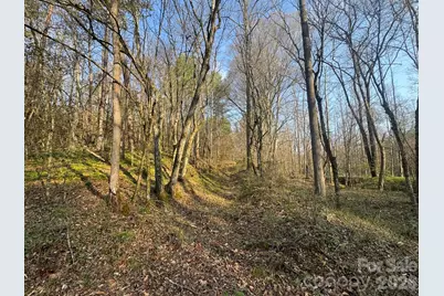 Tbd Billings Hill Church Road, Traphill, NC 28685 - Photo 13