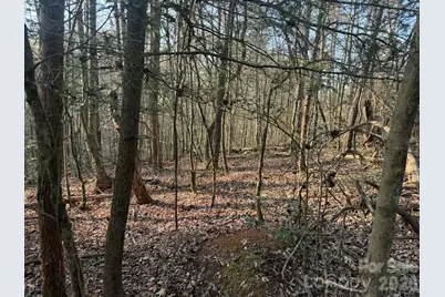 Tbd Billings Hill Church Road, Traphill, NC 28685 - Photo 7