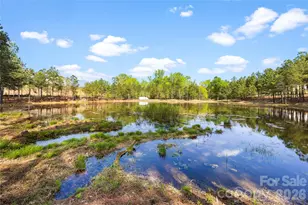 10026 Jack Nicklaus Dr, Lancaster, SC 29720 - Photo 35