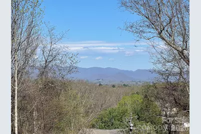 118 Max View Drive, Leicester, NC 28748 - Photo 3