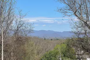 118 Max Vw Dr, Leicester, NC 28748 - Photo 3