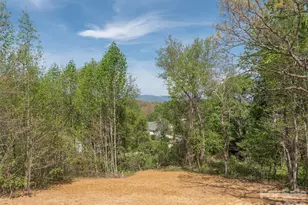 118 Max Vw Dr, Leicester, NC 28748 - Photo 3
