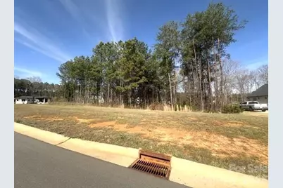 315 Grassy Ridge Court, Clover, SC 29710 - Photo 11