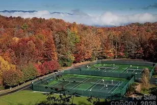 216 Tinequa Dr, Brevard, NC 28712 - Photo 43