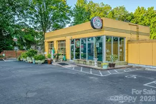 609 Cooper Dr, Charlotte, NC 28210 - Photo 29