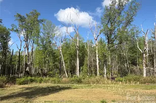 408 S Elm St, Pageland, SC 29728 - Photo 25