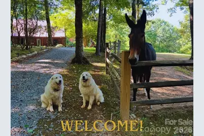 130 Hawkbill Road, Ferguson, NC 28624 - Photo 3