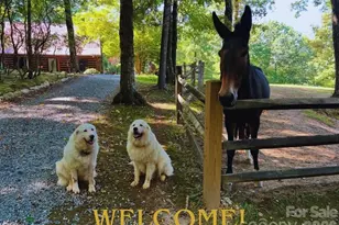 130 Hawkbill Rd, Ferguson, NC 28624 - Photo 3