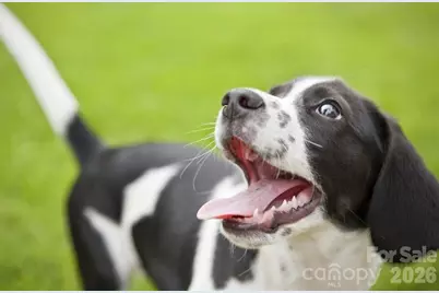 5855 Granbury Drive, Kannapolis, NC 28081 - Photo 19