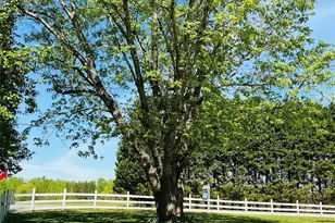 5229 Old Plank Rd, Iron Station, NC 28080 - Photo 3