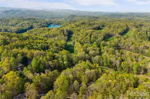 31 Udvawadulisi Ct, Brevard, NC 28712 - Photo 39