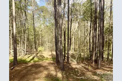 0 Peden Bridge Road, Chester, SC 29706 - Photo 9