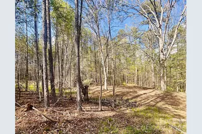 0 Peden Bridge Road, Chester, SC 29706 - Photo 7