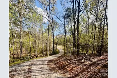 0 Peden Bridge Road, Chester, SC 29706 - Photo 3