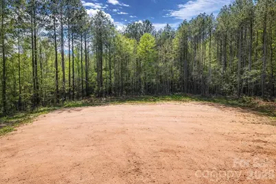 0 Peden Bridge Road, Chester, SC 29706 - Photo 11